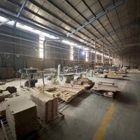 Cho thuê xưởng 10.500m2 (TDT 20.000m2) An Tây Bến Cát