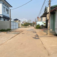 Chính Chủ Cần Bán Lô Góc Đấu Giá Cũ: Khu Trại Chăn Nuôi Và Đồng Chiêm ,Mỹ Thành-Mỹ Đức -Diện Tích117.9M