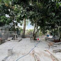 Cho thuê kho xưởng 300m² có sân sau mặt sông nhỏ, đường cặp Quốc Lộ 1A, Q. Cái Răng, TP. Cần Thơ, thuê 18 triệu/ tháng (buông thuế)