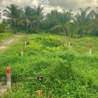 Bán Đất Đẹp, Rẻ 120M2, 500 Triệu Tại Đường Lạc Long Quân, Thị Trấn Hòa Thành, Hòa Thành, Tây Ninh