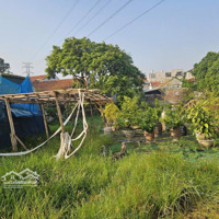 Bán Đất Tại Đường 6, Thị Trấn Chúc Sơn, Chương Mỹ, Hà Nội, 3,15 Tỷ, 36 M2, Chính Chủ Giá Tốt