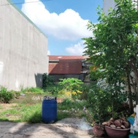 Cần Bán Lô Đất 137M2 Đường Trần Thị Cẩm, Tân Phú Trung, Củ Chi Giá Bán 1Ty450