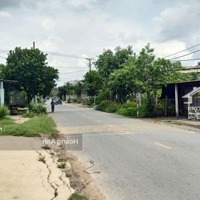 Cần Bán Lô Đất 137M2 Đường Trần Thị Cẩm, Tân Phú Trung, Củ Chi Giá Bán 1Ty450