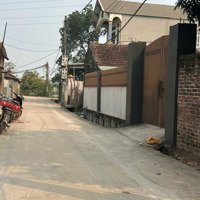 Bán Đất Đường 6, Xã Phú Nghĩa, Chương Mỹ, Hà Nội, Giá Siêu Hời 3,3 Tỷ, 50M2