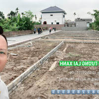 Bán Đất Tại Xã Bát Trang, An Lão, Hải Phòng, Giá Ưu Đãi 600 Triệu, Diện Tích 60M2