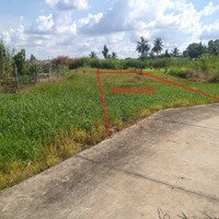Đất Thổ Lợi Bình Nhơn Tân An Long An 282M2 Full Thổ Xây Dựng Thoải Mái