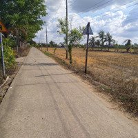 Đất Thổ Lợi Bình Nhơn Tân An Long An 282M2 Full Thổ Xây Dựng Thoải Mái