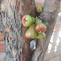 15 Phòng Trọ 2 Tầng 25 Triệu/Tháng Lê Văn Việt Sát 5 Trường Đại Họcdiện Tíchđẹp 9.5X15 Góc 2Mặt Tiềnhẻm Thông