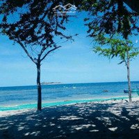 Cần Bán Gấp Mảnh Đất Mặt Biển Ninh Vân Khánh Hoà Nha Trang, Diện Tích : 2250M2