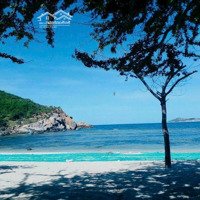 Cần Bán Gấp Mảnh Đất Mặt Biển Ninh Vân Khánh Hoà Nha Trang, Diện Tích : 2250M2