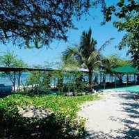 Cần Bán Gấp Mảnh Đất Mặt Biển Ninh Vân Khánh Hoà Nha Trang, Diện Tích : 2250M2