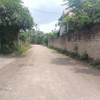 Bán Đất Tt Thắng, Hiệp Hòa, Bắc Giang 115M2, Mặt Tiền 6,5M, Ôtô Tránh, Trục Chính 1,3 Tỷ