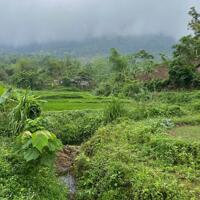 Chính chủ cần bán gấp 2800m đất trong đó có 250m đất thổ cư tại Mai Châu, HOà Bình