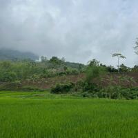 Chính chủ cần bán gấp 2800m đất trong đó có 250m đất thổ cư tại Mai Châu, HOà Bình