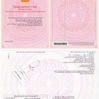 Đất Ven Tp.hcm - Cạnh Vinhomes 900Ha, Giá F0, Sổ Đỏ Riêng Từng Nền, Đầu Tư Sinh Lời Cao!