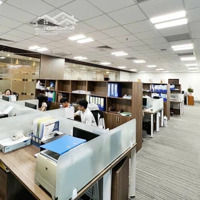 Sàn Văn Phòng Siêu Vip Ngoại Giao Đoàn Đối Diện Đại Sứ Quán Hàn Full Nội Thất - 900M - Full Đồ