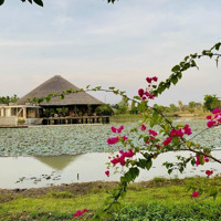 Kẹt Tiền Kd Bán Lô Đẹp Dãy B4 Làng Sen Khu Xây Nhà Đông, Kinh Doanh Nhiều Giá Bán 890 Triệu Bao Sang Tên.