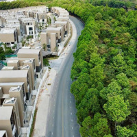 Tin Thật Giá Thật- Biệt Thự Sycamore- Cđt Capitaland- Dtxd 241M2- Rẻ Nhất Thị Trường Chỉ 13,2 Tỷ