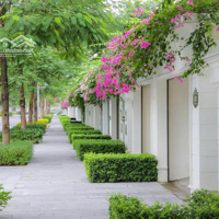 Biệt Thự Giá Như Liền Kề,Chiết Khấu Cao