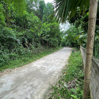 Bán Đất Kim Bôi Hòa Bìnhdiện Tích1000M2 Có 700M2 Thổ Cư. Mặt Tiền Gần 50M, Cách Thị Trấn Kb 3Km