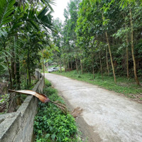 Bán Đất Kim Bôi Hòa Bìnhdiện Tích1000M2 Có 700M2 Thổ Cư. Mặt Tiền Gần 50M, Cách Thị Trấn Kb 3Km