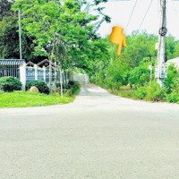Bán Đất Gần Khu Công Nghiệp Becamex Chơn Thành Bình Phước, Giá Chỉ 500 Triệu