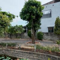 Cho Thuê Biệt Thự Sinh Thái 3 MẶT TIỀN ĐƯỜNG Cao Cấp Tại Nha Trang - 4.200M²