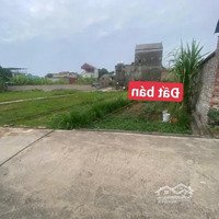 Lâu Lâu Em Mới Lên Hình Ạ 64 M2, Tại Minh Trí Sóc Sơn Hà Nội