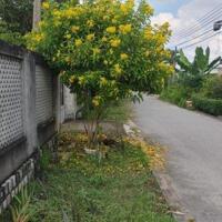 hà lô góc Gần cầu An Hóa, Long Hòa, Bình Đại. Full thổ cư 174 m2.