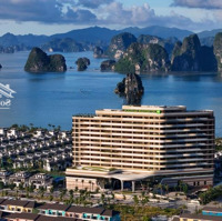 Liền Kề View Biển Trục Orchard 24M Sonasea Vân Đồn, Đối Diện Khách Sạn,Diện Tích95M2, Sổ Đỏ, Giá Bán 8,2 Tỷ