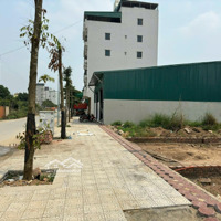 Bán Nhanh Lô Đất Dịch Vụ 25Ha Mặt Đường 24M Diện Tích 76,7M Giá Chỉ 1Xxtr/M Chỉ Bằng Lô Thường