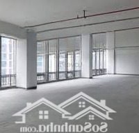 Cho Thuê Bt Tại Tố Hữu- Hà Đông -Miễn Phí 2 Năm Tiền Thuê Nhà