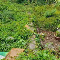 Đất Bán _ Hẻm 78 Đô Lương, Phường 11, Thành Phố Vũng Tàu - Giá Bán 950 Triệu (Có Bớt Lộc)