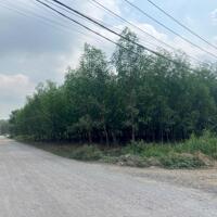 Bán đất 6000m2 xây dựng nhà xưởng 3 mặt tiền Thiện Tân TP Biên Hòa Đồng Nai chỉ 16 tỷ