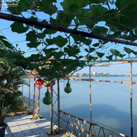 Chủ Gởi Bán Biệt Thự Rộng 395M2 (Ngang 12M) View Sông Cái Đồng Nai Thuộc P. Hiệp Hoà. Giá Chỉ 16 Tỷ