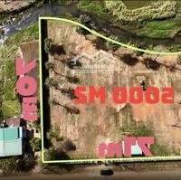 Bán Hoặc Cho Thuê Lô Đất Nghỉ Dưỡng 5.000M Tại Nam Phương City Tp. Bảo Lộc