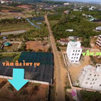 Bán Hoặc Cho Thuê Lô Đất Nghỉ Dưỡng 5.000M Tại Nam Phương City Tp. Bảo Lộc