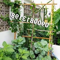 Bán Nhà SHR Bình Tân - 4 Tầng Giá Tốt