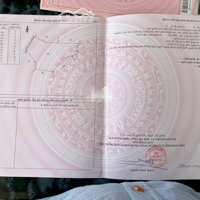Bán Đất Trồng Cây Lâu Năm Diện Tích Hơn 6 Sào.