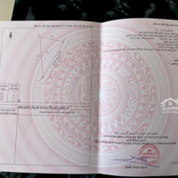 Bán Đất Trồng Cây Lâu Năm Diện Tích Hơn 6 Sào.