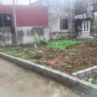 Kim Động, Hưng Yên: Bán Đất Gần Con Đường Di Sản, Đi Lại Thuận Tiện, Mặt Tiền Rộng 8M, Thoáng Đẹp