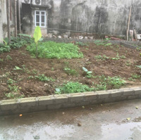 Kim Động, Hưng Yên: Bán Đất Gần Con Đường Di Sản, Đi Lại Thuận Tiện, Mặt Tiền Rộng 8M, Thoáng Đẹp