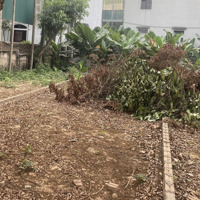 Ô Tô Tránh 51,2M2 Đất Tại Thôn 1, Song Phương Gần Đại Lộ Thăng Long