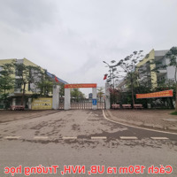 Đất Vàng - Diện Tích Lớn - Thổ Cư Khủng Tại Đông Tảo, Khoái Châu, Hưng Yên