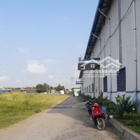 Cho Thuê Kho Đường Tránh Quốc Lộ 50 Thị Trần Cần Giuộc, Long An