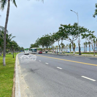 Bán Đất Biển Mặt Tiền Vũ Ngọc Nhạ 180M2, Sơn Trà. Ngang 10M. Đường 10M5 Vỉa Hè 5M Thông Sát Biển