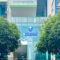 Tòa Nhà 38 Trường Sơn Tb - 8X18M - Hầm 8 Tầng Tm - Hđt 300 Triệu/Tháng !!