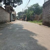 Bán Gấp 390M² Đất Taị Thôn Vụ Bản, Xã Minh Trí, Sóc Sơn; Chỉ 19 Triệu/M²- Có Ra Lộc