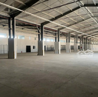Cho Thuê Kho Logistics Sạch - Đẹp Đạt Chuẩn, Pccc Tự Động Ngay Tại Sân Bay Tân Sơn Nhất