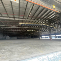 Cho Thuê Kho Logistics Sạch - Đẹp Đạt Chuẩn, Pccc Tự Động Ngay Tại Sân Bay Tân Sơn Nhất